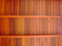 /album/forro-de-cedrinho/forro-de-cedrinho-1-jpg/